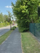 Foto: Vegetation auf Gehweg 